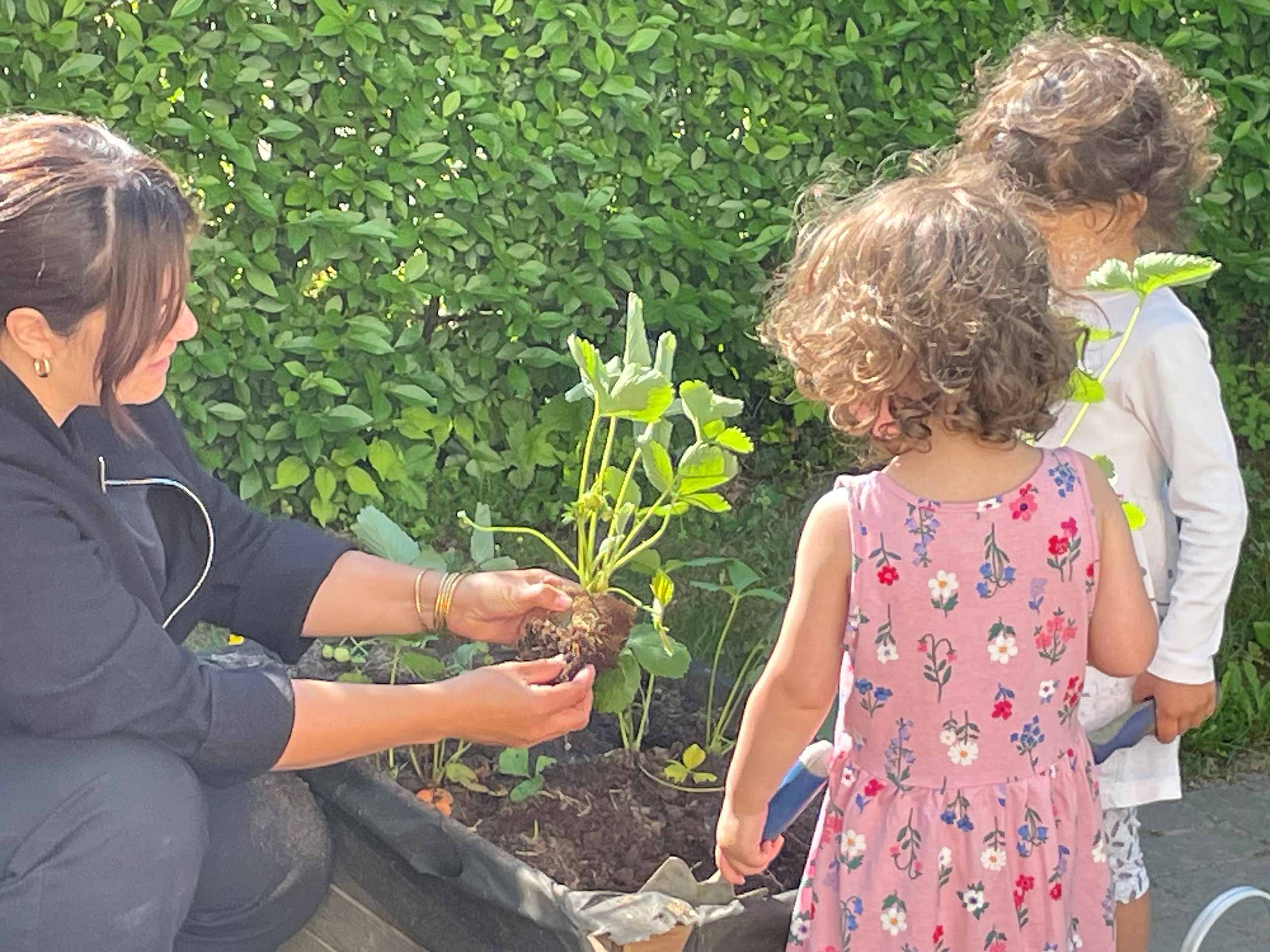 Kinder helfen beim Pflanzen
